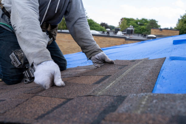 Best Residential Roofing Contractor  in Fort Denaud, FL
